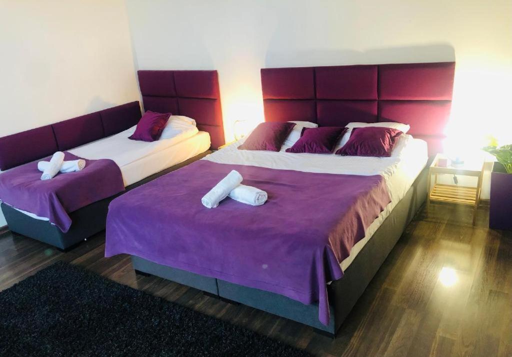 Ferienwohnung Harmonica Premium Neu Sandez Exterior foto